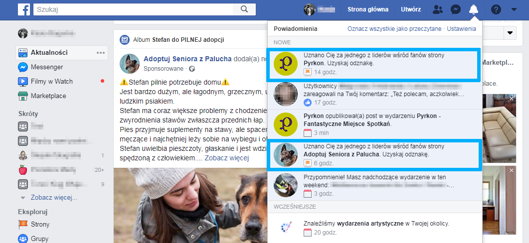 Lider_wsrod_fanow_czym_jest_i_skad_sie_bierze