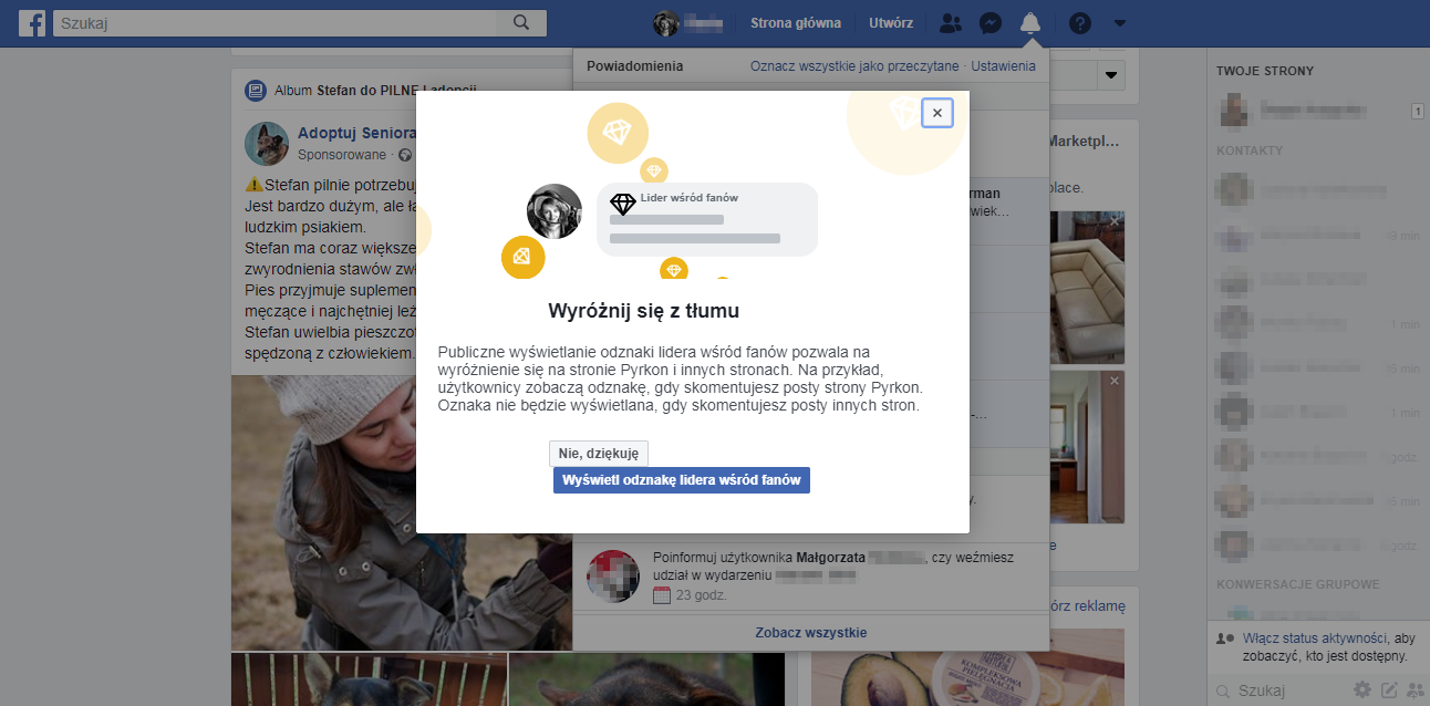 Lider_wsrod_fanow_czym_jest_i_skad_sie_bierze