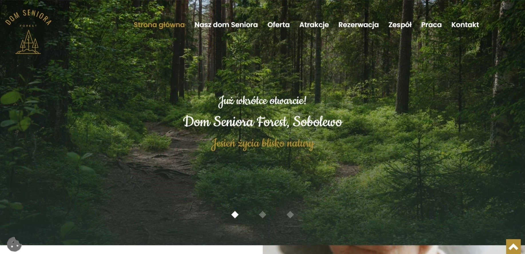 forest_WeNet_Blog