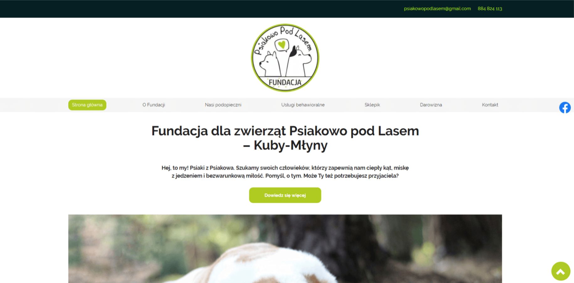 fundacja_dla_zwierzat_blog_wenet