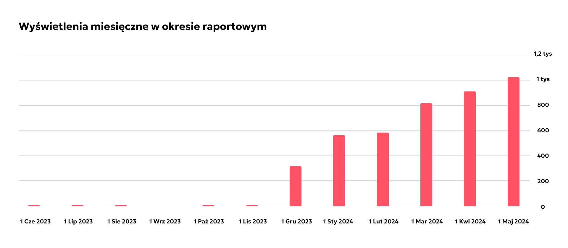 Wykres prezentujący wyświetlenia miesięczne w okresie raportowym